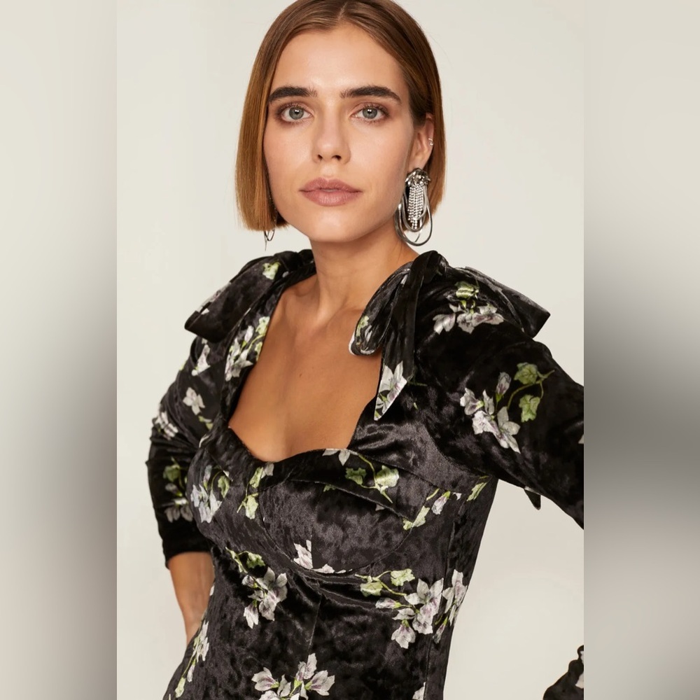 anthropologie hutch daphne floral velour bustier long sleeve top